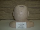 Dos Tirelires "Collection de bustes imitation pierre sculpté LES/THI beault-sard artisans ML (papier recyclé à 100% & pots de plastique recyclé à 100%).